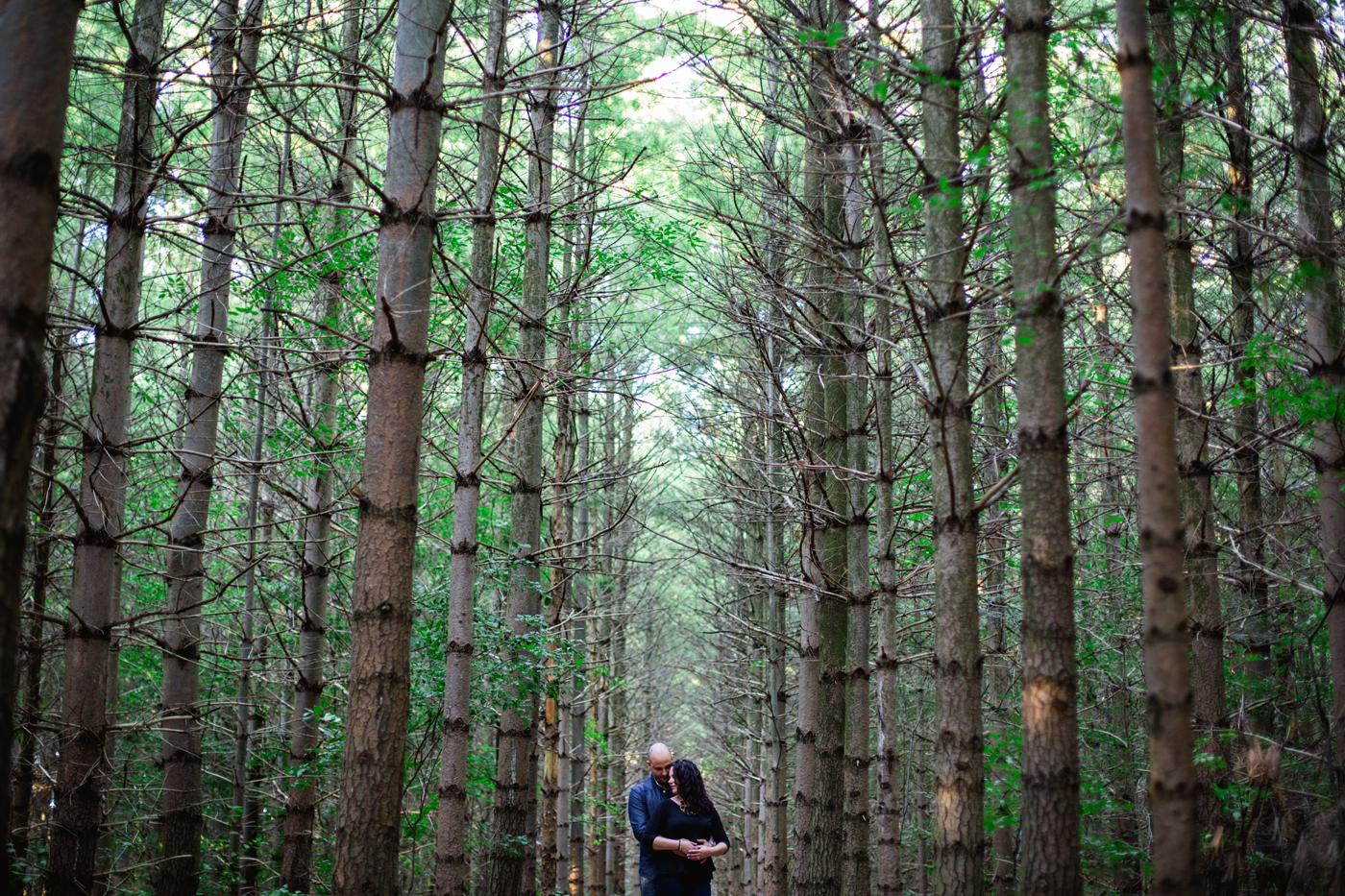 Guelph-Conservation-Forest-Engagement