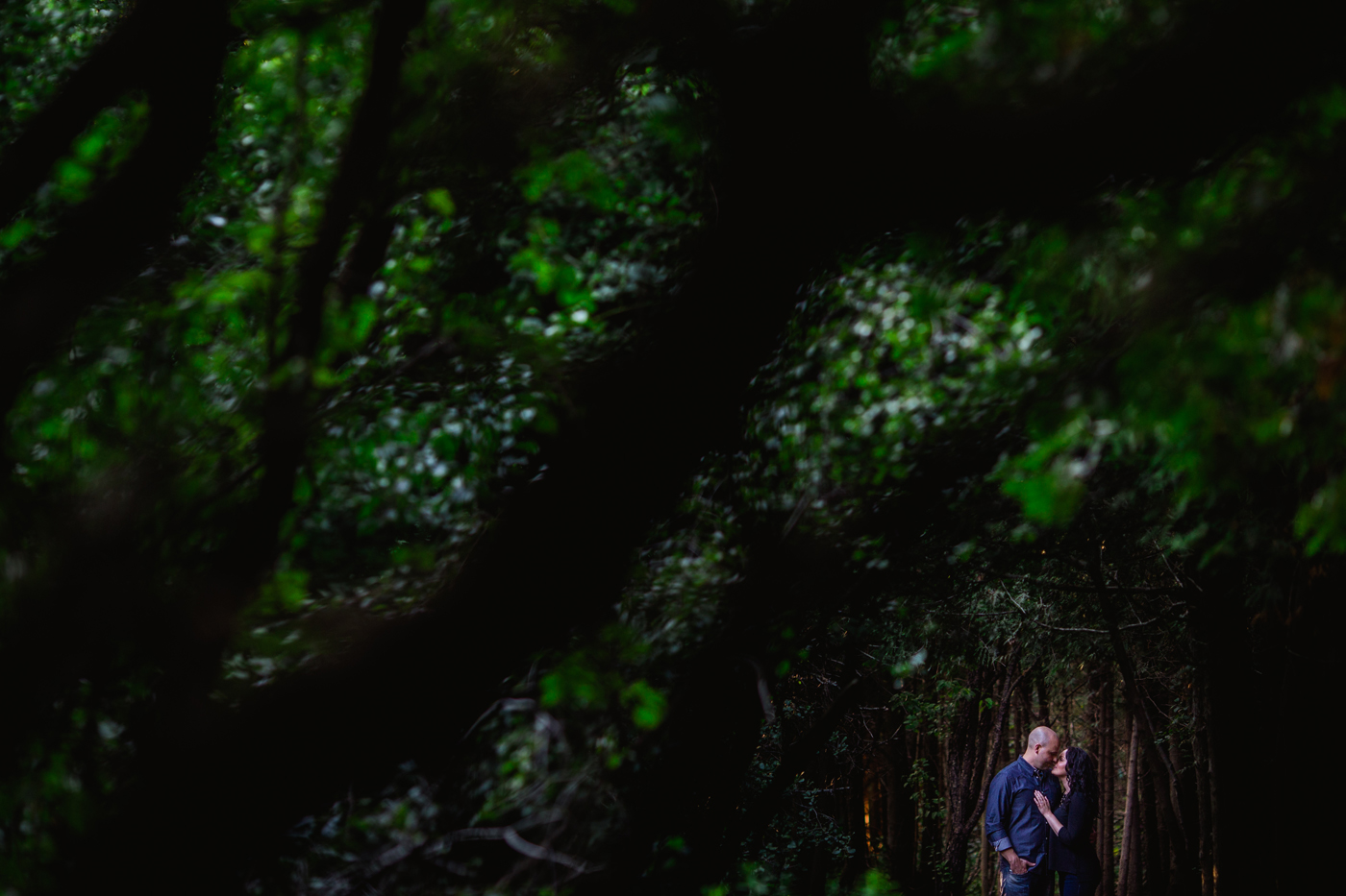 Guelph-Forest-Engagement-Wedding