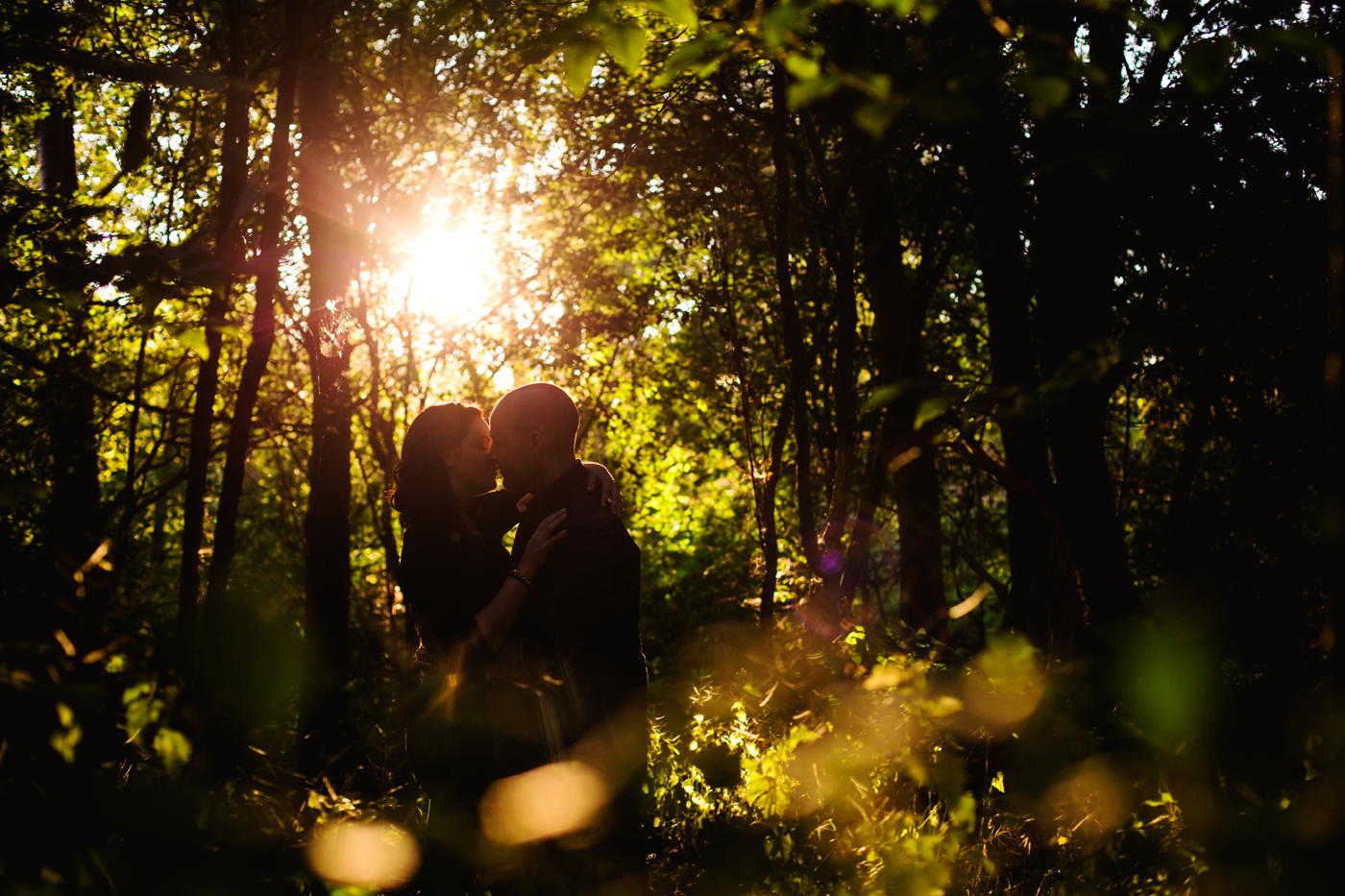 Guelph-Forest-Engagement